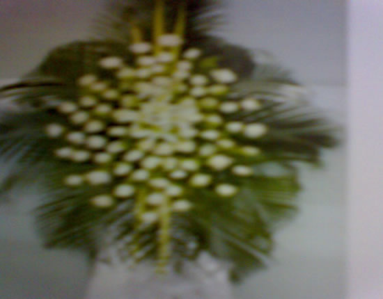 花篮